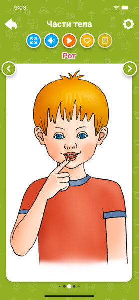 Части тела для детей