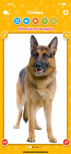 Породы собак для детей