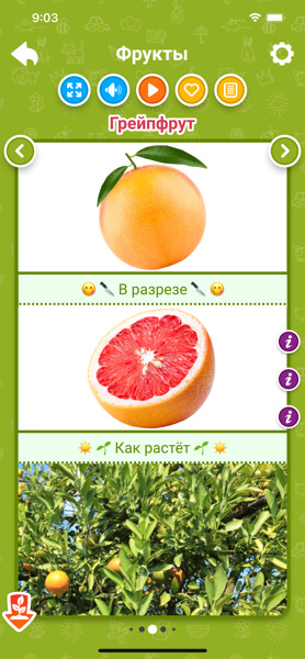 Фрукты и овощи для детей